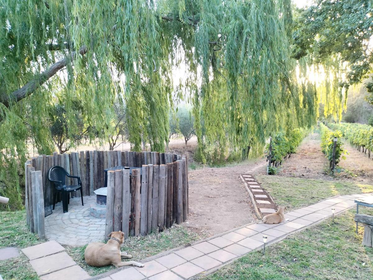 Glamping At The Well In 弗朗斯胡克 外观 照片
